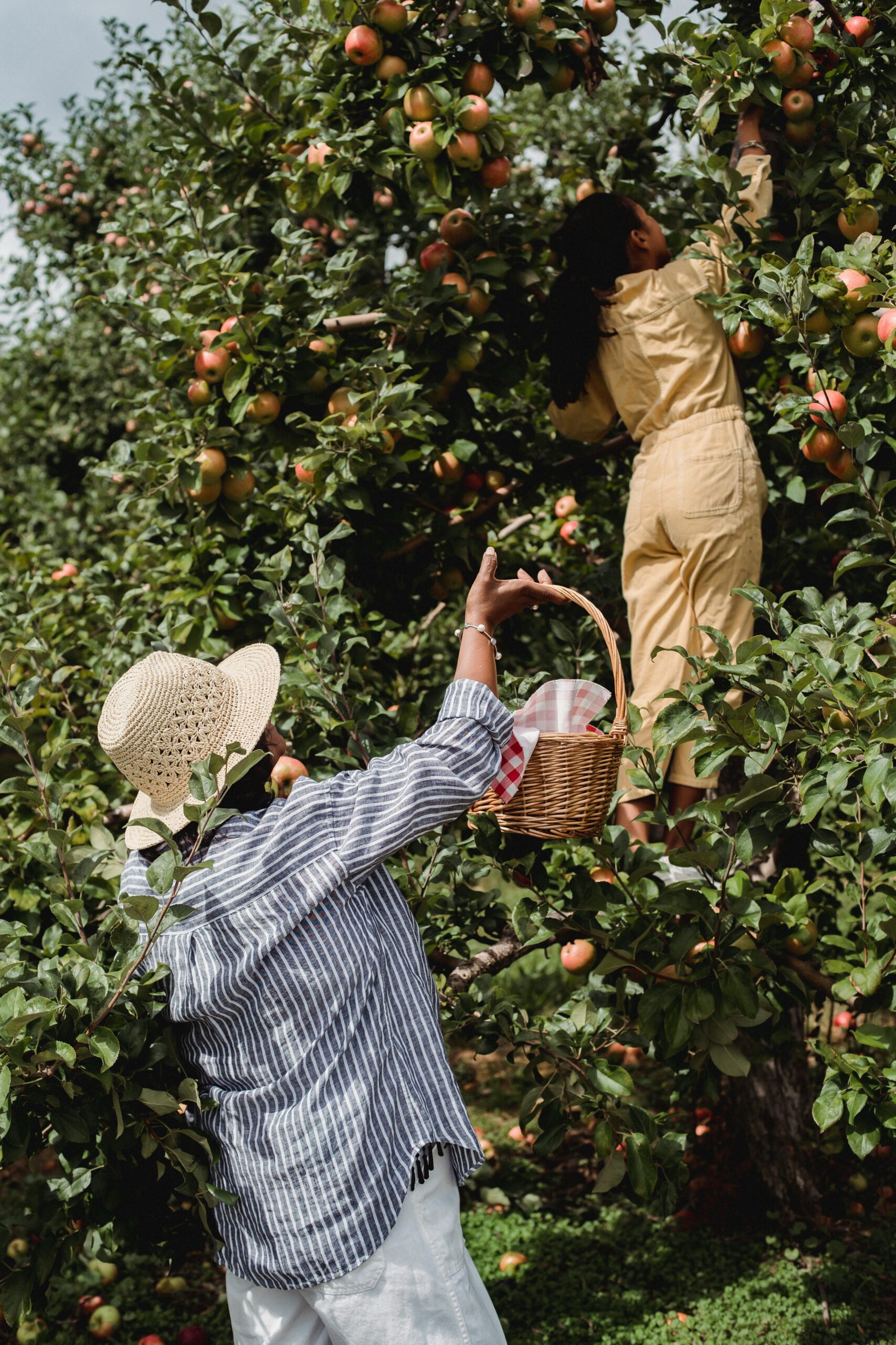 10 Creative Fall Photoshoot Ideas for Families